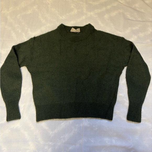 Everlane Green Crew Neck Alpaca Sweater Solid Knit Small - Picture 1 of 7